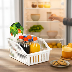 Plastic Organizer Large